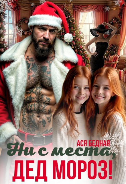 Ни с места, Дед Мороз!